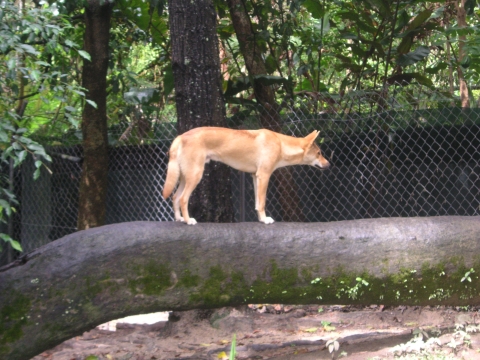 s_A_PICT0075.jpg